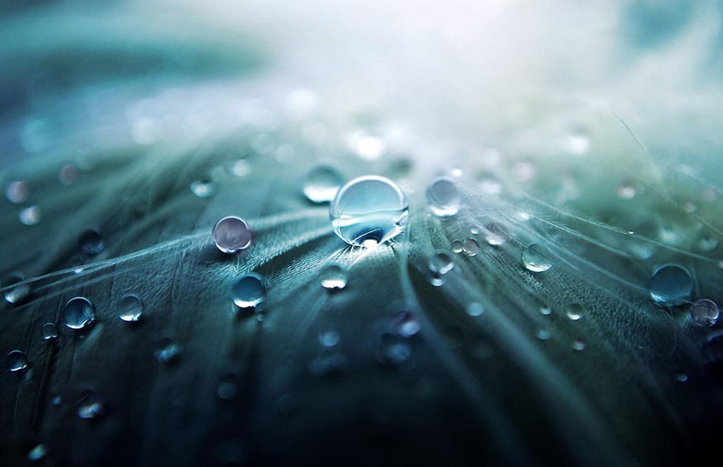 Off-Site Manufacture is the Way Forward